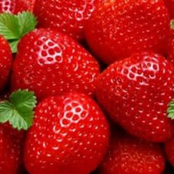 A close up of some strawberries with leaves