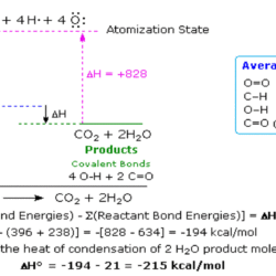 A diagram of the chemical equation for hydrogen bonds.